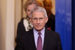 Anthony Fauci, covid-19, anthony fauci warns states over cautious reopening amidst covid 19 outbreak, Mike pence