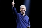 programming job, apple ceo tim cook, apple ceo tim cook believes a four year degree not needed to get a programming job, Apple store