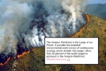 why is the amazon rainforest important, amazon, in pictures devastating fires in amazon rainforest visible from space, Npt