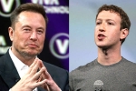 Elon Musk and Mark Zuckerberg news, Elon Musk and Mark Zuckerberg breaking, elon vs zuckerberg mma fight ahead, Silver medal
