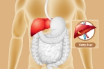 Fatty Liver health, Fatty Liver prevention, dangers of fatty liver, Periods