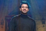 Prabhas recent clicks, Prabhas recent clicks, prabhas struggling to cut down his weight, Dairy